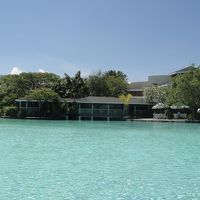 客室から見えるプール