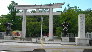 大きな楠木がありました