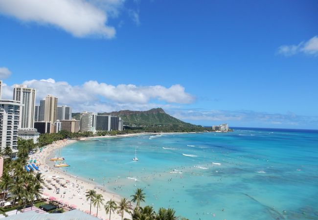 Sarah Caudle / サラカードル】”Waikiki Beach