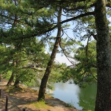 なんとなく弱弱しい感じ