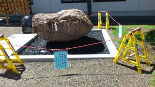 スポーツの神様