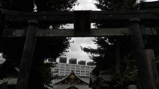 珍しい銅製の鳥居です