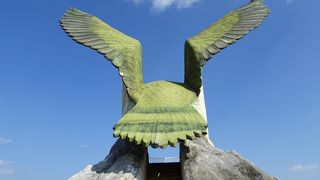 大空に飛び立ちそうなサシバが見られます