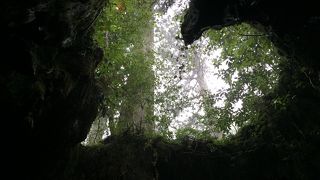 不思議な形に感動！