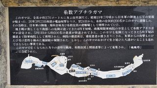 素晴らしいガマなのに