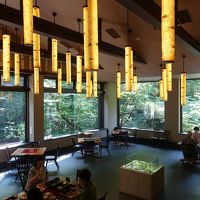 朝は和食にしてもらえました