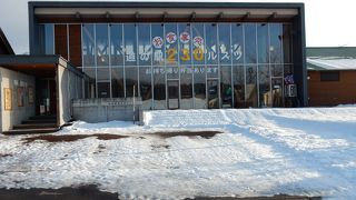 羊蹄山は見えんかった