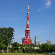 東京タワーが大きく見えます