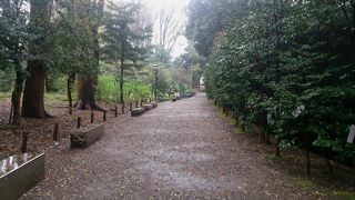 気持ちが落ち着く庭園です