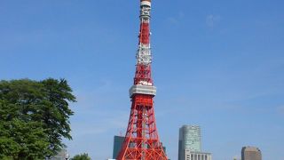 東京タワーが見える広い公園