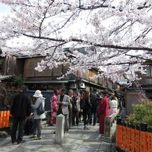 桜の時期とも会って人がいっぱい。