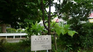 歴史あるものなのに・・・・