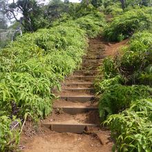 最後の階段がきついです