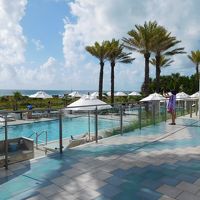 プールガーデンの向こう側にマイアミビーチが見える。