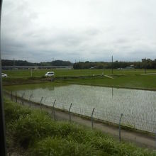 初夏らしい田園風景をそれなりに楽しめました。