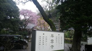 北条早雲そして北条ゆかりの寺、早雲寺