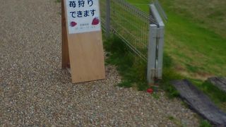 【日帰り温泉】とてもいいお湯でした