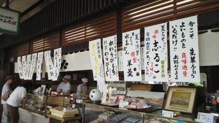 糺の森と出町界隈