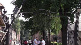 学生時代に行っておけばよかった