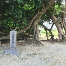沖縄陸軍病院壕。