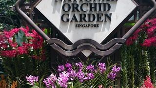 色鮮やかな蘭園