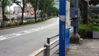 文字通り桜の木が一杯