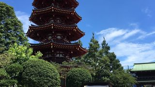 毎月21日に内覧可能