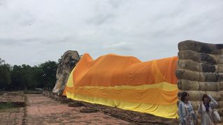 ここは無料です