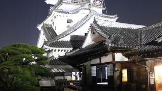 夏の夜のお城まつり 