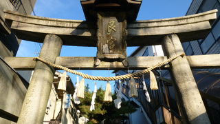 天然記念物の樹齢９００年の楠木が見どころです！