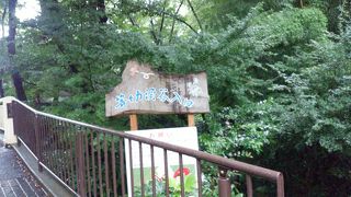 体感気温が違う