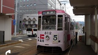 主要な観光地をわかりやすく巡る