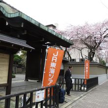 最近「そうだ、京都行こう」のツアーをよく見かけます。