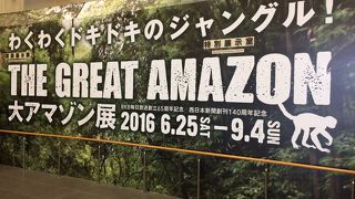 大アマゾン展に行ってきました。