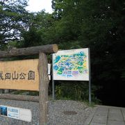 「成田山新勝寺」の本堂の裏手に広がる緑豊かな公園