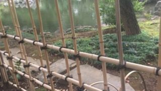 本殿裏の本格的な日本庭園