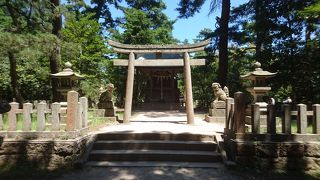 見落としやすいところにありました。