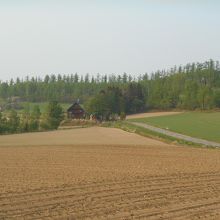 まだ畑は芽が出た程度で土色。