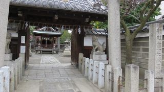 キュートな狛犬さん。