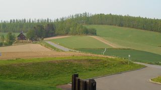 丘や遠方の山も展望。