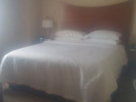 エンバシー スイーツ バイ ヒルトン ボルティモア インナー ハーバー 写真