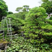 江戸時代初期の作といわれる廻遊式庭園