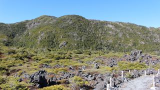 紅葉時期に行きましたが、ただの岩場でした