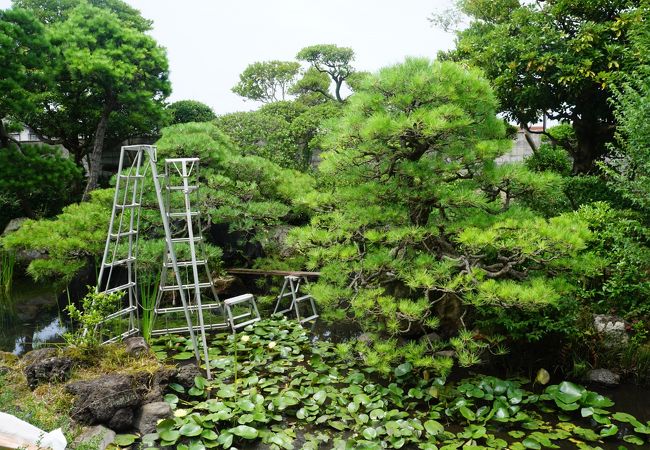 江戸時代初期の作といわれる廻遊式庭園