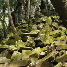 石に苔があり、とても美しい