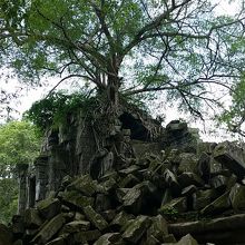 ここが一番のスポット