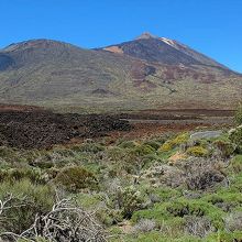 この展望台から見たテイデ山(右)と、その兄弟峰のピコ・ビエホ