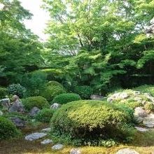 夏は緑が綺麗です。秋は紅葉、冬は雪。