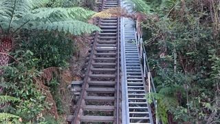 世界遺産のアミューズメント