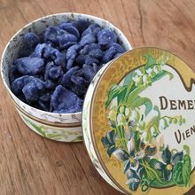 スミレの砂糖漬け